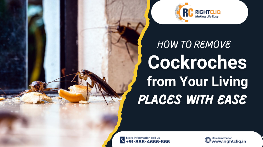 Effective Tips to Remove Cockroaches from Your Home Easily