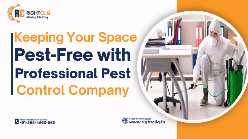 Keeping Your Space Pest-Free with Professional Pest Control Company Keeping Your Space Pest-Free with Professional Pest Control Company