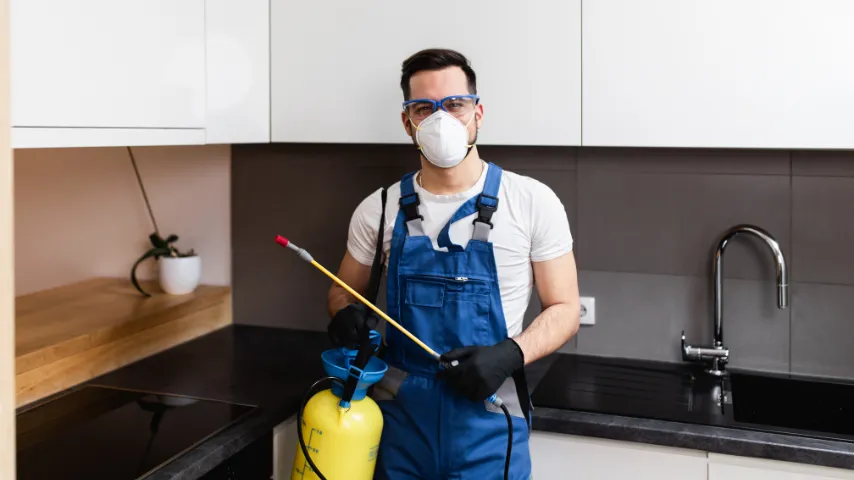 The Hidden Dangers Lurking in Your Home: Why Pest Control is a Must The Hidden Dangers Lurking in Your Home: Why Pest Control is a Must