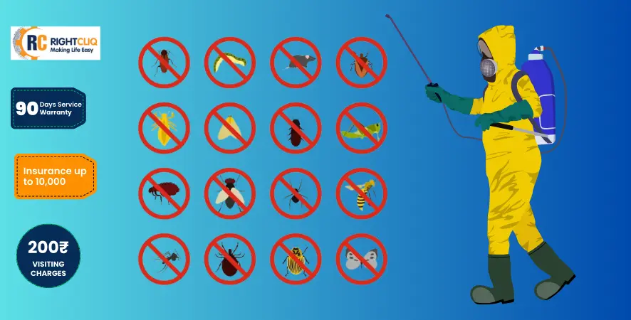 Pest control services Pest control services